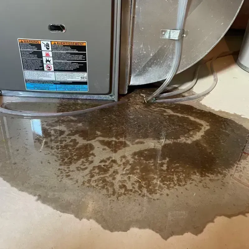 Appliance Leak Cleanup in River Forest, IL